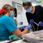 Dr. Firouzeh Zolfagharirad